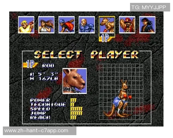 安迪萨瓦与播求的巅峰对决谁将成为格斗界的新传奇